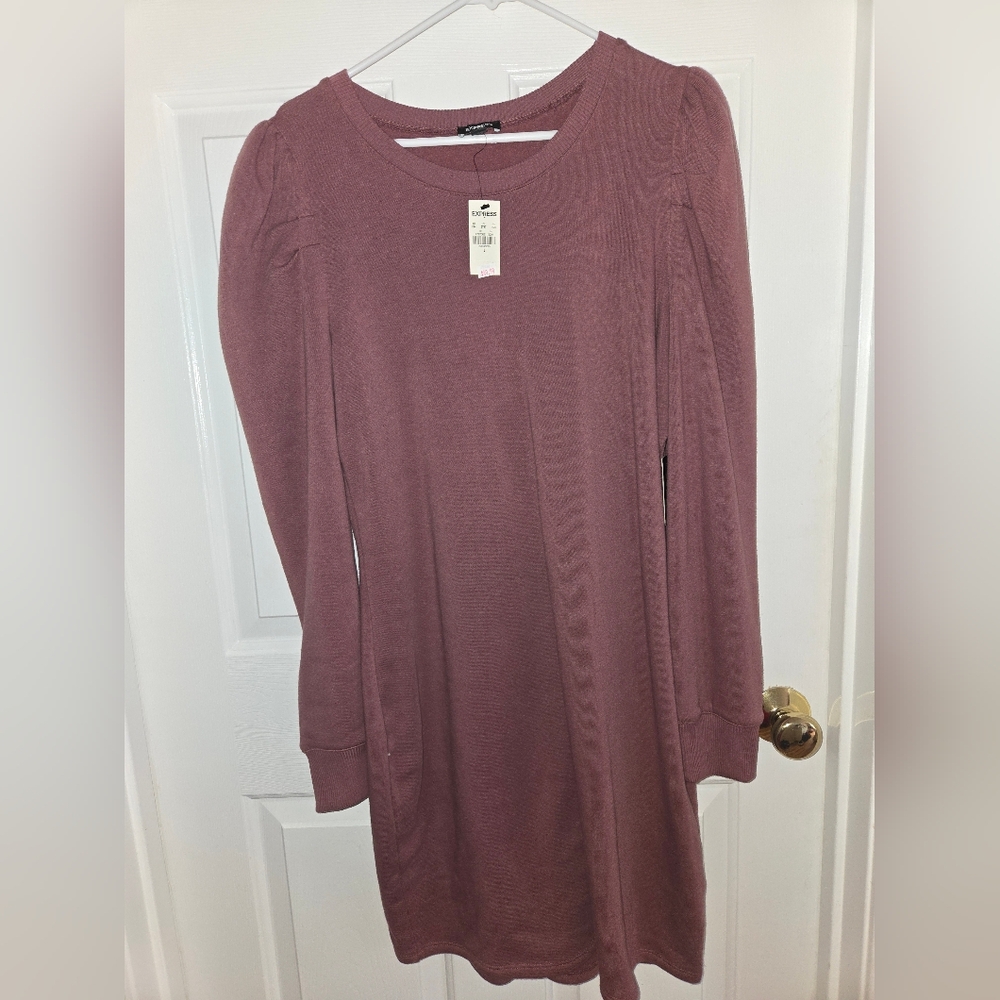 Express Sweatshirt Mauve Dress Size Large